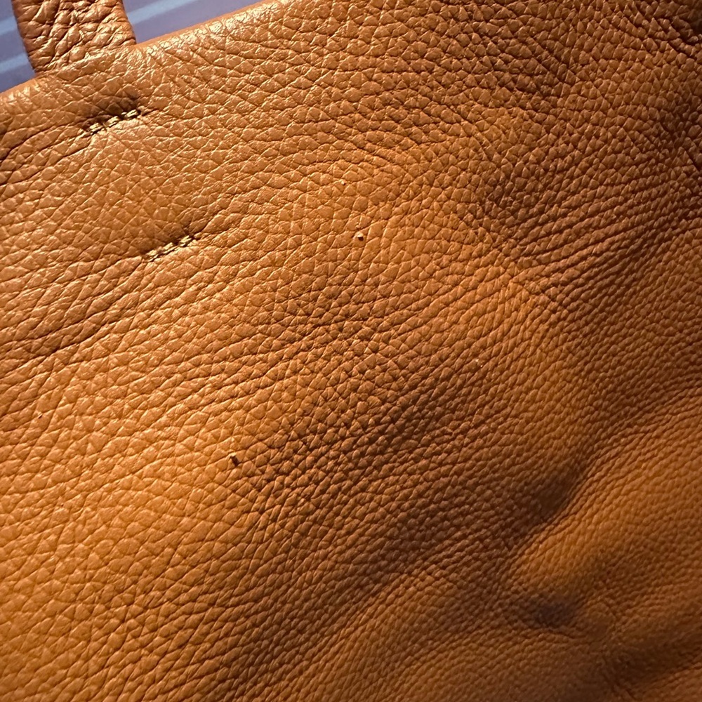 Cuyana Classic Easy Zipper Tote - Picture 9 of 9